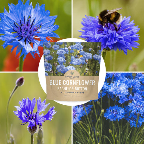 Sweet Yards Garden cut-flower seeds for vibrant indoor arrangements.