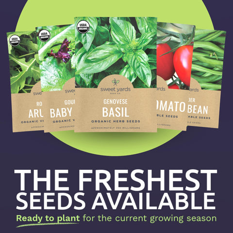 Sweet Yards genovese basil seeds for aromatic kitchen herbs