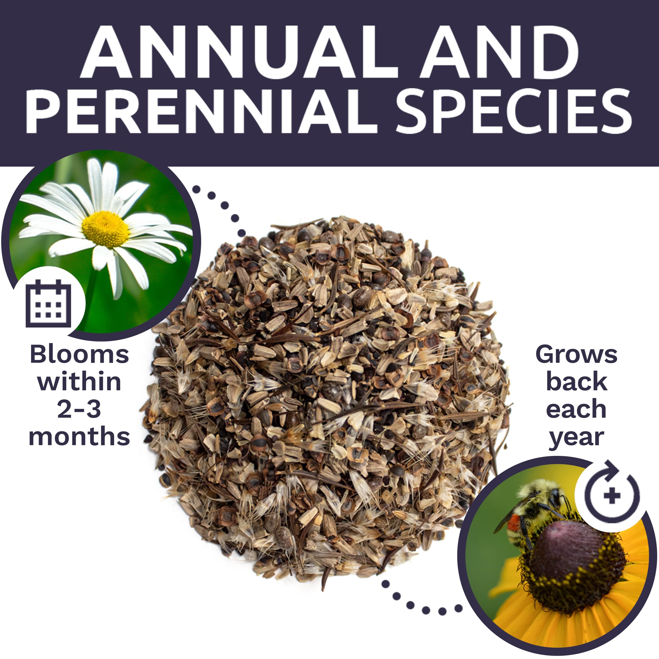 Sweet Yards gift-pack seed packaging suitable as a present.