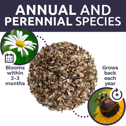 Sweet Yards gift-pack seed packaging suitable as a present.
