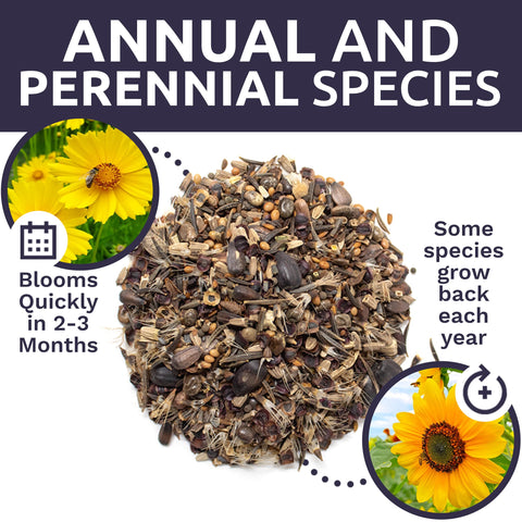 Sweet Yards gift-ready seed mix with clear planting instructions.