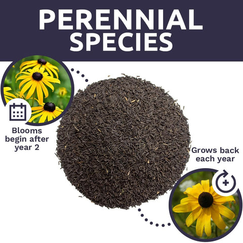 Sweet Yards gift-ready seed pack makes thoughtful gardening presents.