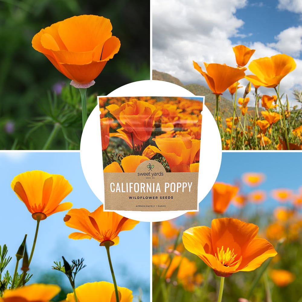 Gift-ready Sweet Yards seed packaging for gardeners and nature lovers.