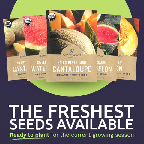 Sweet Yards Hales Best Jumbo Cantaloupe Packet highlights a classic, flavorful option