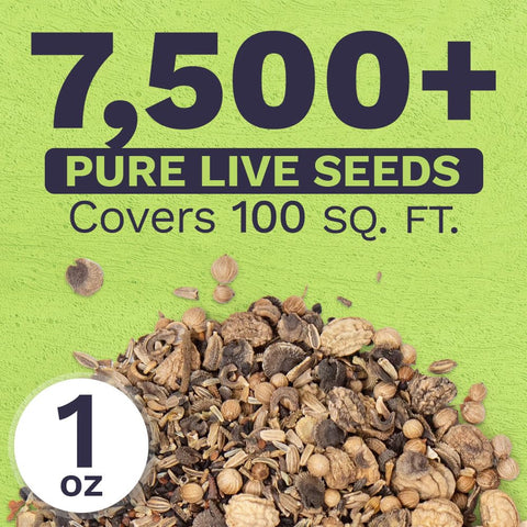 Sweet Yards open-pollinated seeds with high germination for easy growth