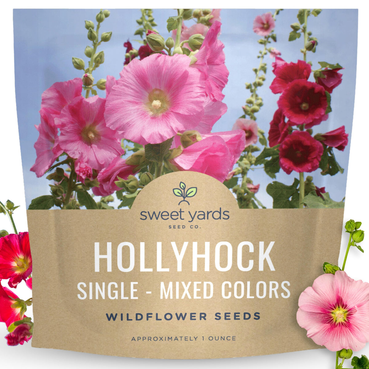 Sweet Yards Hollyhock Single Mixed colors bloom tall stalks for dramatic garden backdrops.