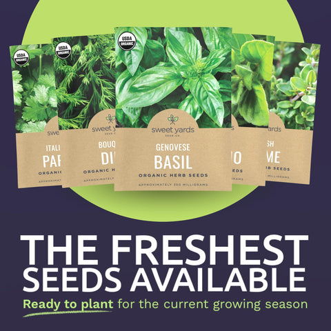 Sweet Yards Italian Oregano seed packet ideal for sauces and pizzas.