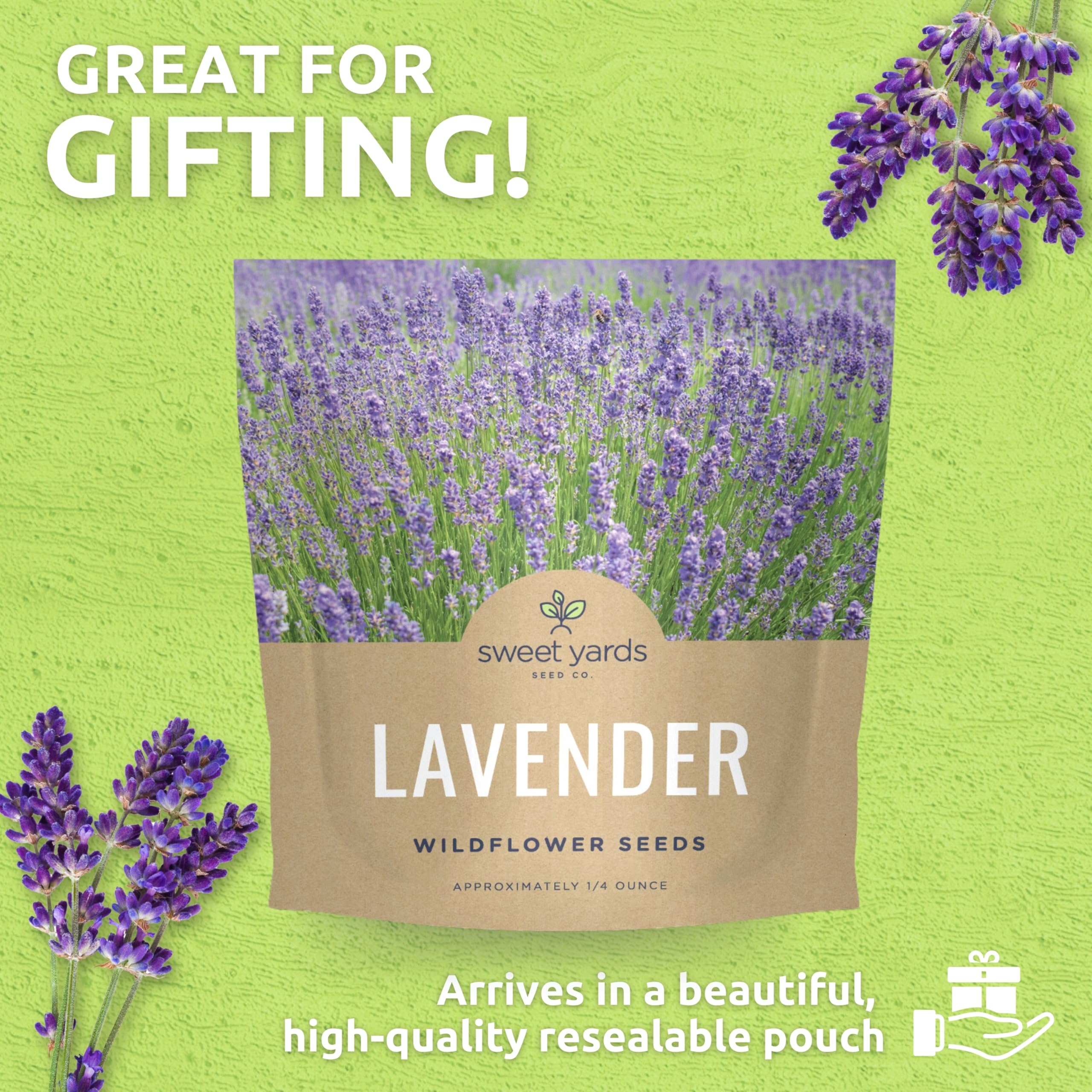 Bees visiting a Sweet Yards lavender plant, supporting pollinators.