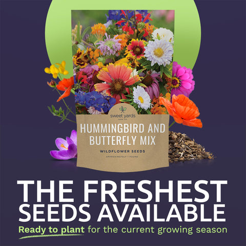 Sweet Yards live seeds close-up highlighting ready-to-germinate performance for a thriving pollinator patch.