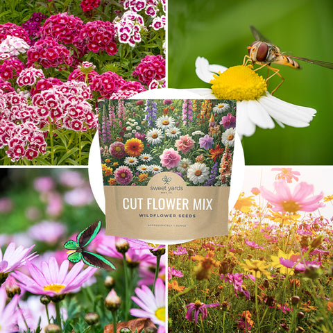 Sweet Yards long-lasting annual and perennial seed mix in field.