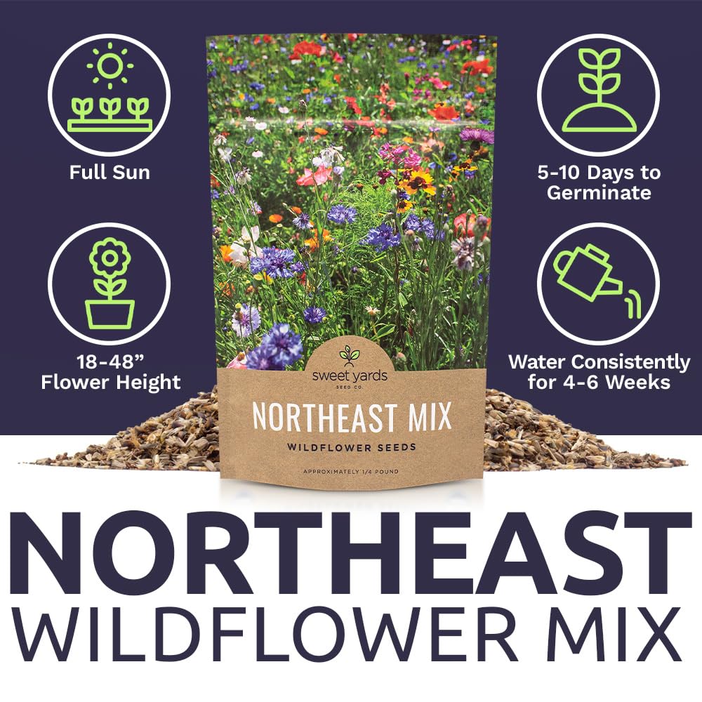Sweet Yards Maine-area wildflower mix supports seasonal color and habitat restoration