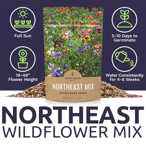 Sweet Yards Maine-area wildflower mix supports seasonal color and habitat restoration