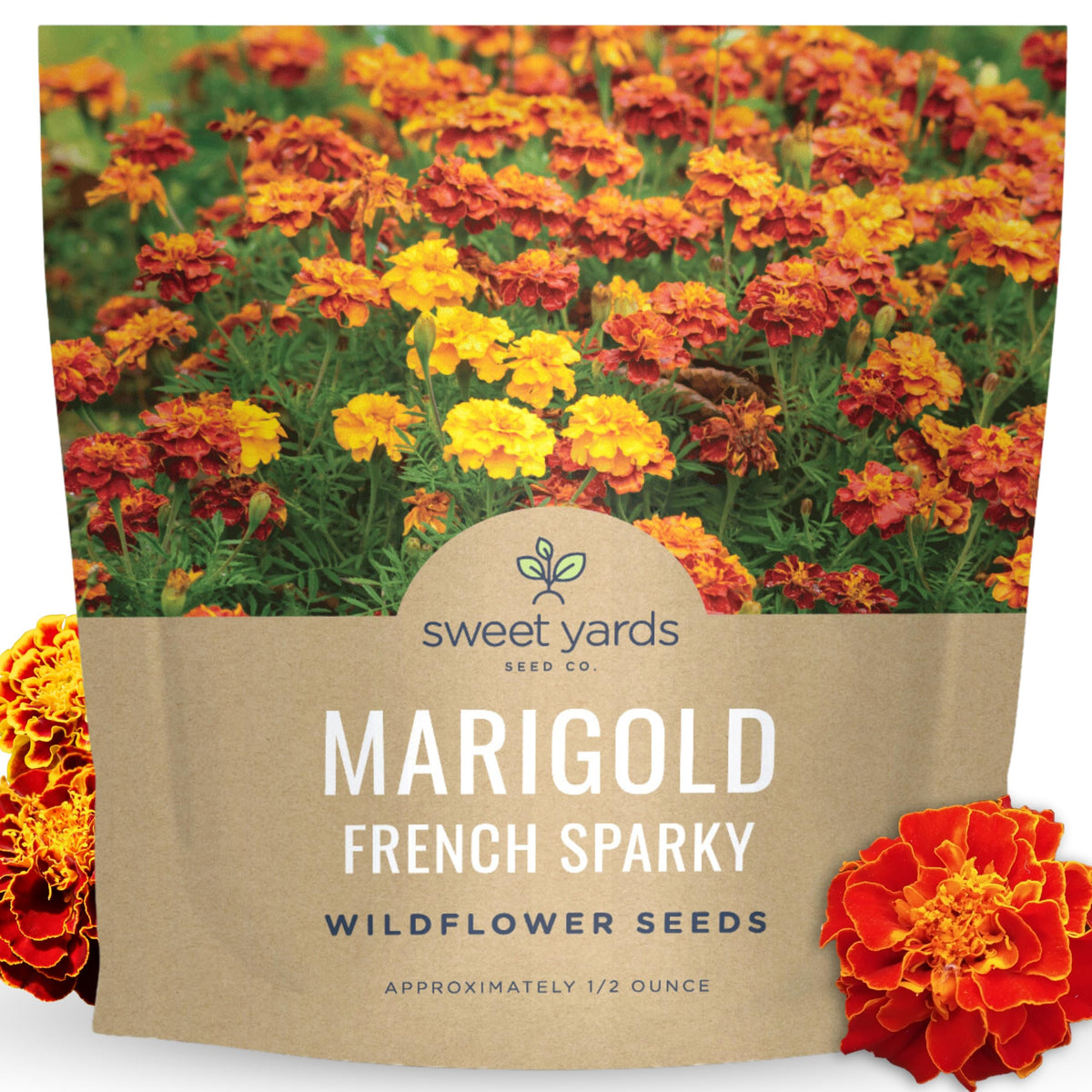 Sweet Yards Marigold French Sparky close-up of fiery bi-color blooms for vibrant color