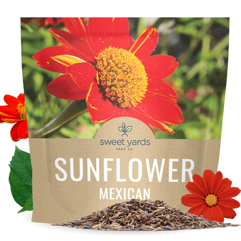 Sweet Yards Mexican Sunflower seeds extralarge pack ready to cover 100 sq ft