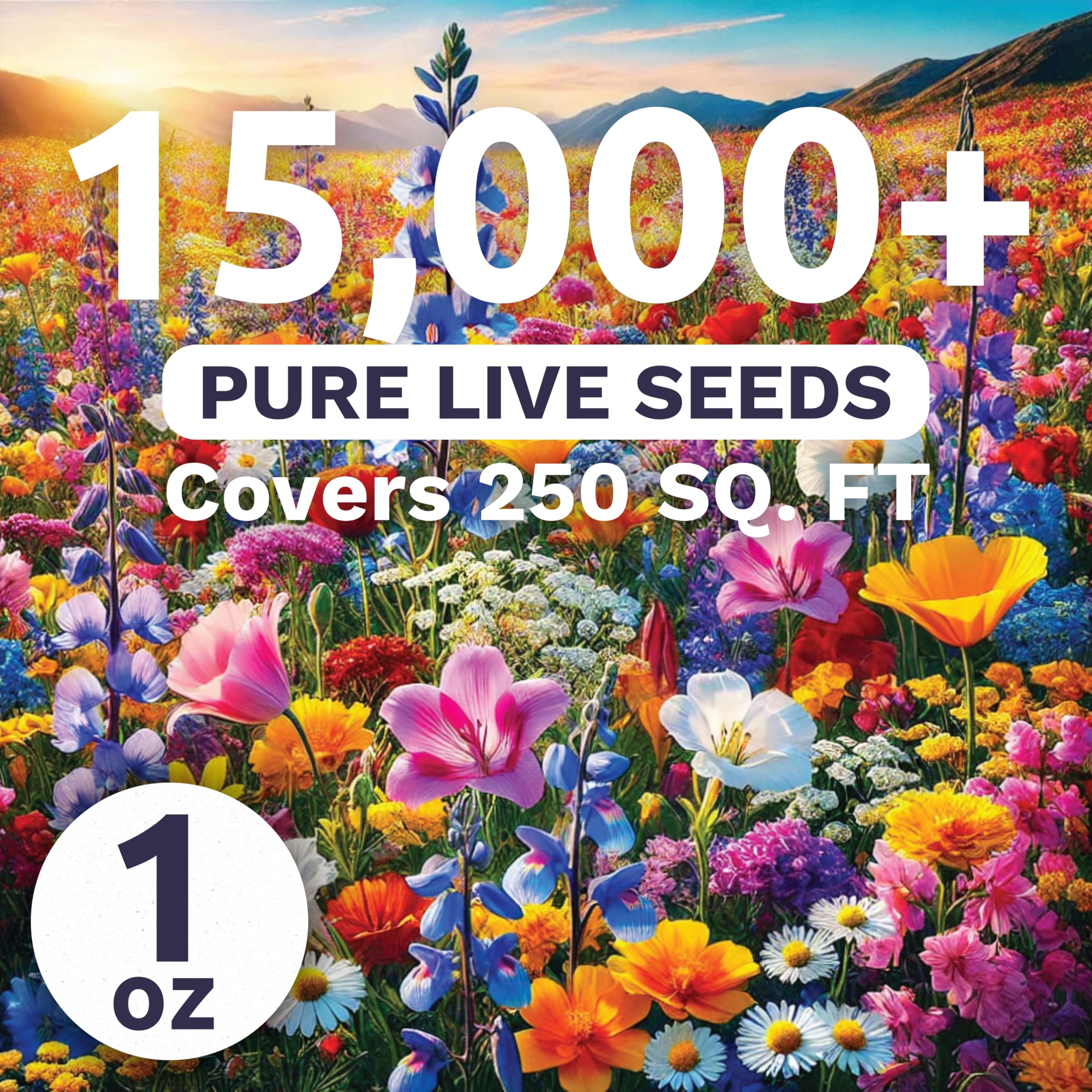 Sweet Yards Midwest Regional Mix seeds close-up showing vibrant wildflower variety for landscapes.