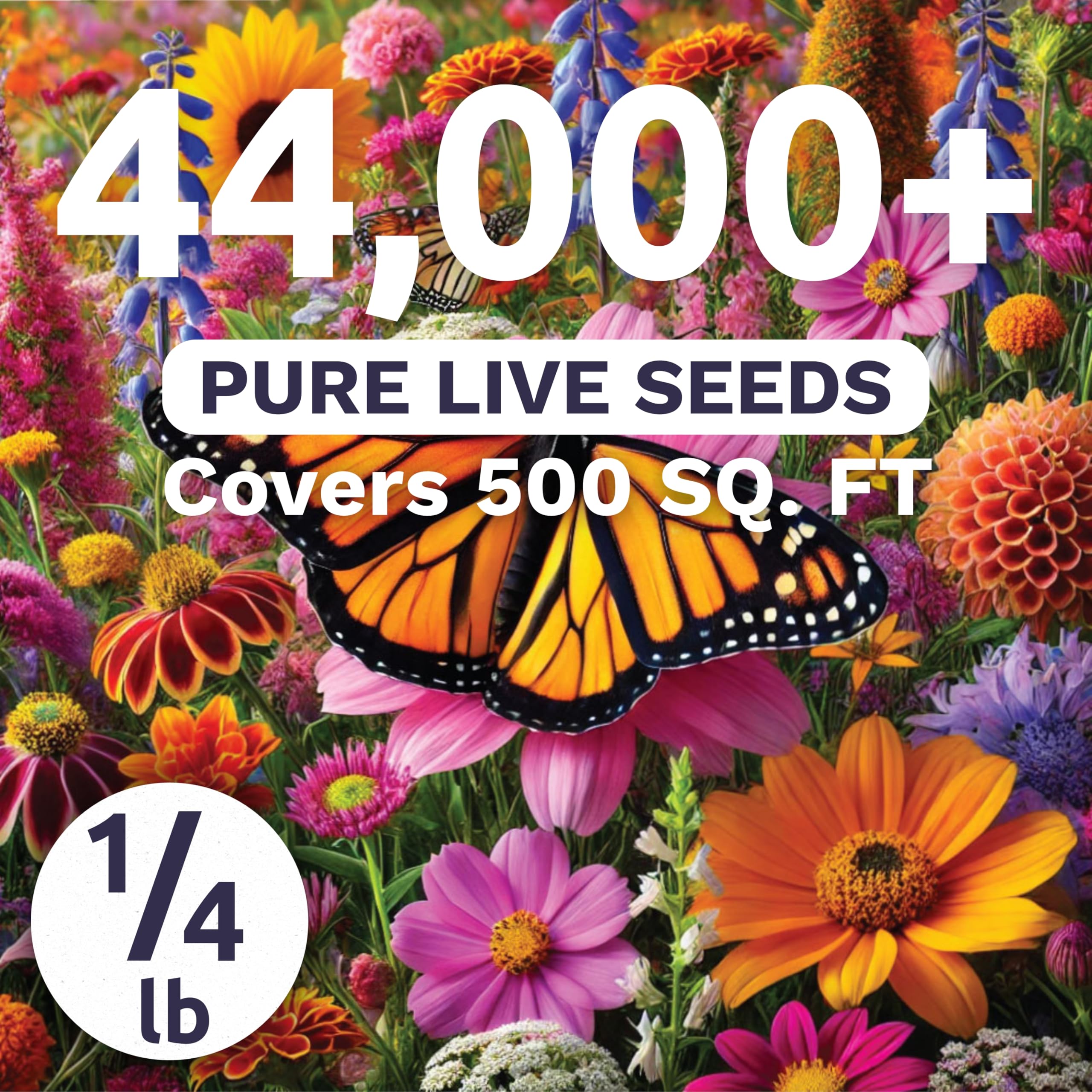 Sweet Yards Monarch Rescue Mix seeds closeup with promise of vibrant germination.