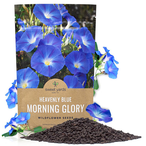 Sweet Yards Heavenly Blue morning glory seeds in bulk bag for dense blue blooms all season