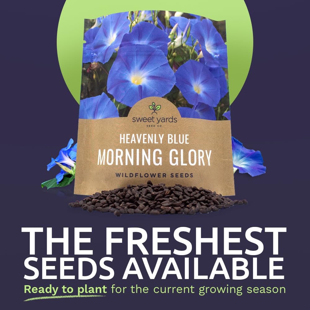 Sweet Yards Heavenly Blue seeds in 1oz packet ideal for borders