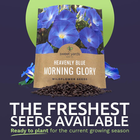 Sweet Yards Heavenly Blue seeds in 1oz packet ideal for borders