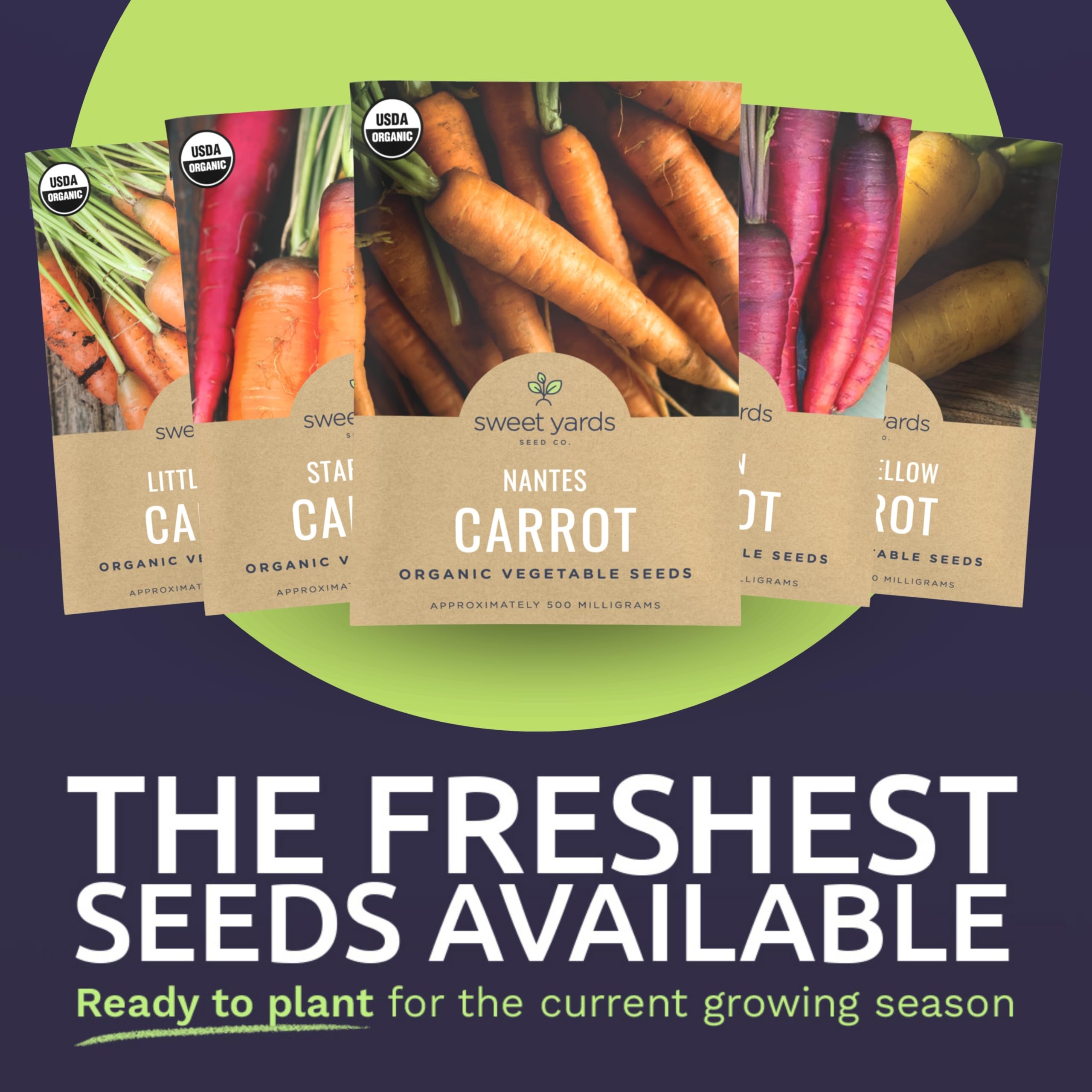 Sweet Yards Nantes carrot seeds for classic, crunchy roots ideal for roasting.
