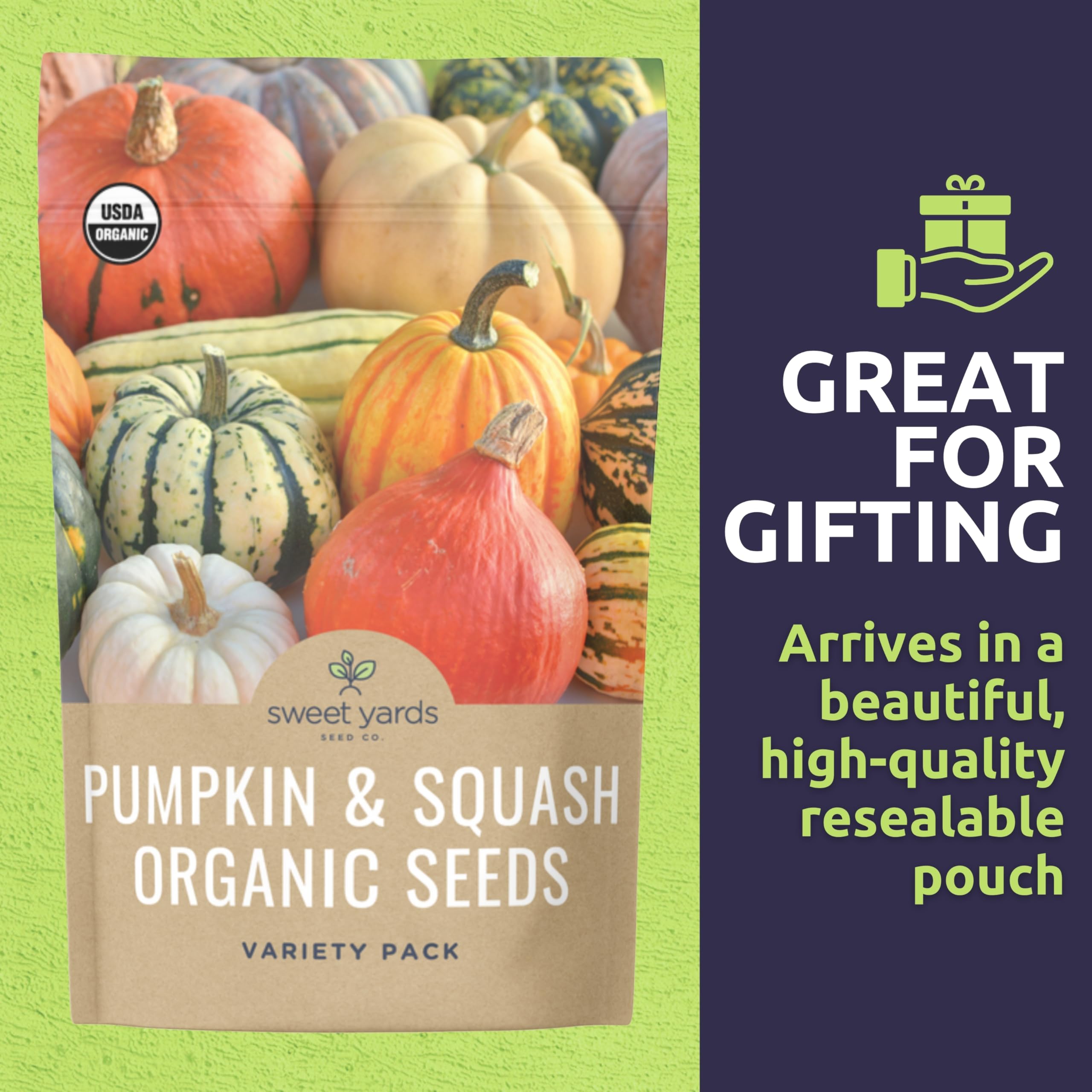Sweet Yards New England Pie pumpkin seed packet for classic autumn flavors
