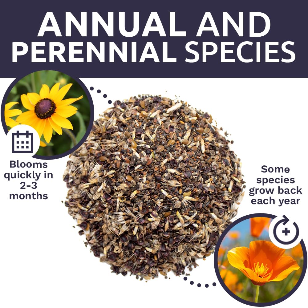 Sweet Yards non-GMO seed mix to support eco-conscious gardening.