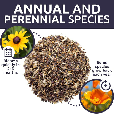 Sweet Yards non-GMO seed mix to support eco-conscious gardening.