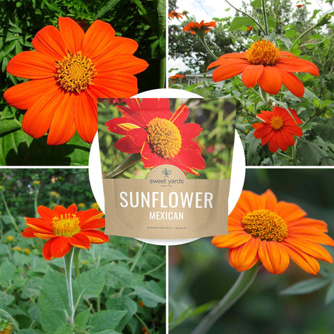 Sweet Yards non-GMO seeds label ensures product integrity