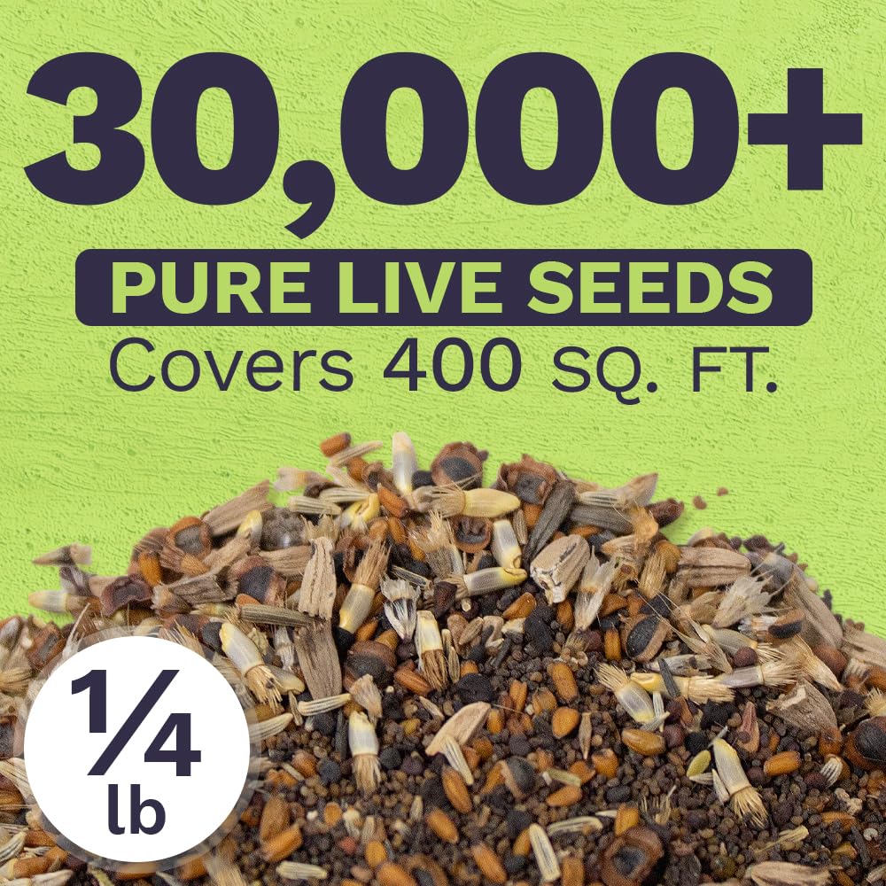 Sweet Yards Northeast wildflower blend plants diverse blooms for gardens and meadows