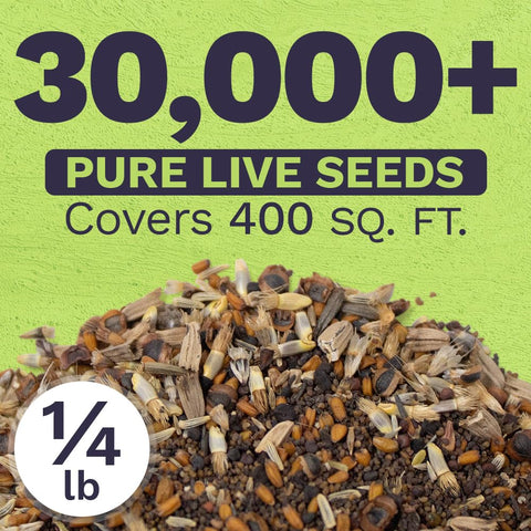 Sweet Yards Northeast wildflower blend plants diverse blooms for gardens and meadows