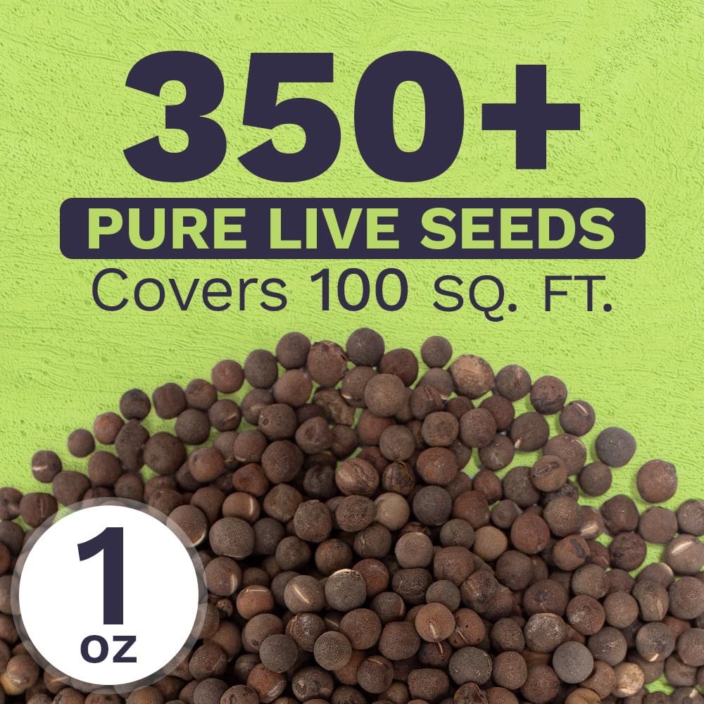 Sweet Yards one-ounce packet with 350+ seeds supports lush garden coverage