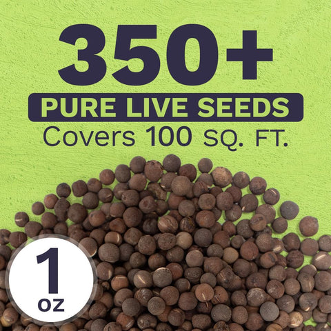Sweet Yards one-ounce packet with 350+ seeds supports lush garden coverage