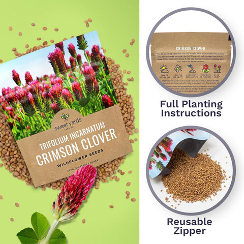 Sweet Yards Open-pollinated crimson clover seeds ideal for planting in cool seasons