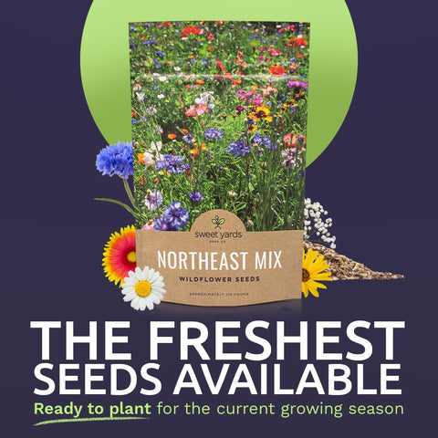 Sweet Yards open-pollinated native seed bulk pack ideal for sustainable, local biodiversity