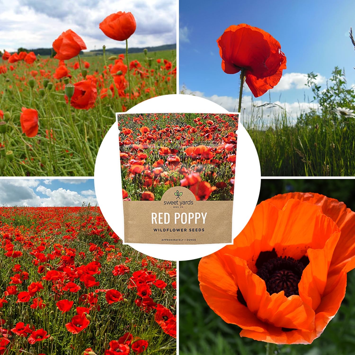 Open pollinated, non-GMO poppy seeds from USA by Sweet Yards.
