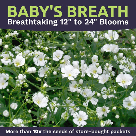SWEET YARDS Open-pollinated non-GMO seeds promote diverse, resilient plantings