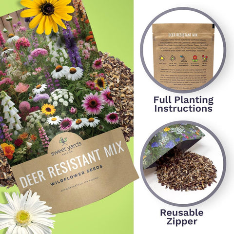 Sweet Yards open-pollinated non-GMO seeds shown, ideal for reliable garden starting.