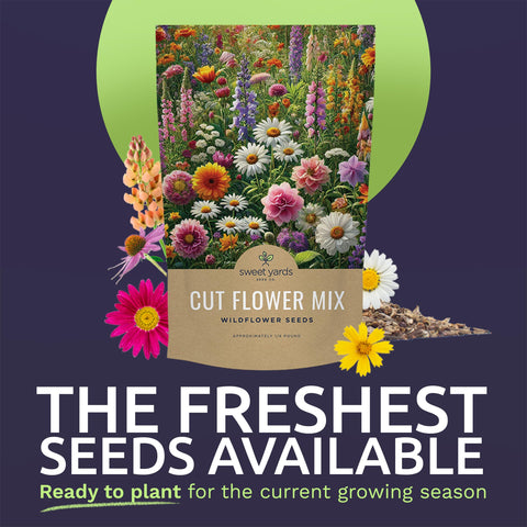 Sweet Yards open pollinated seed mix delivering bright colors