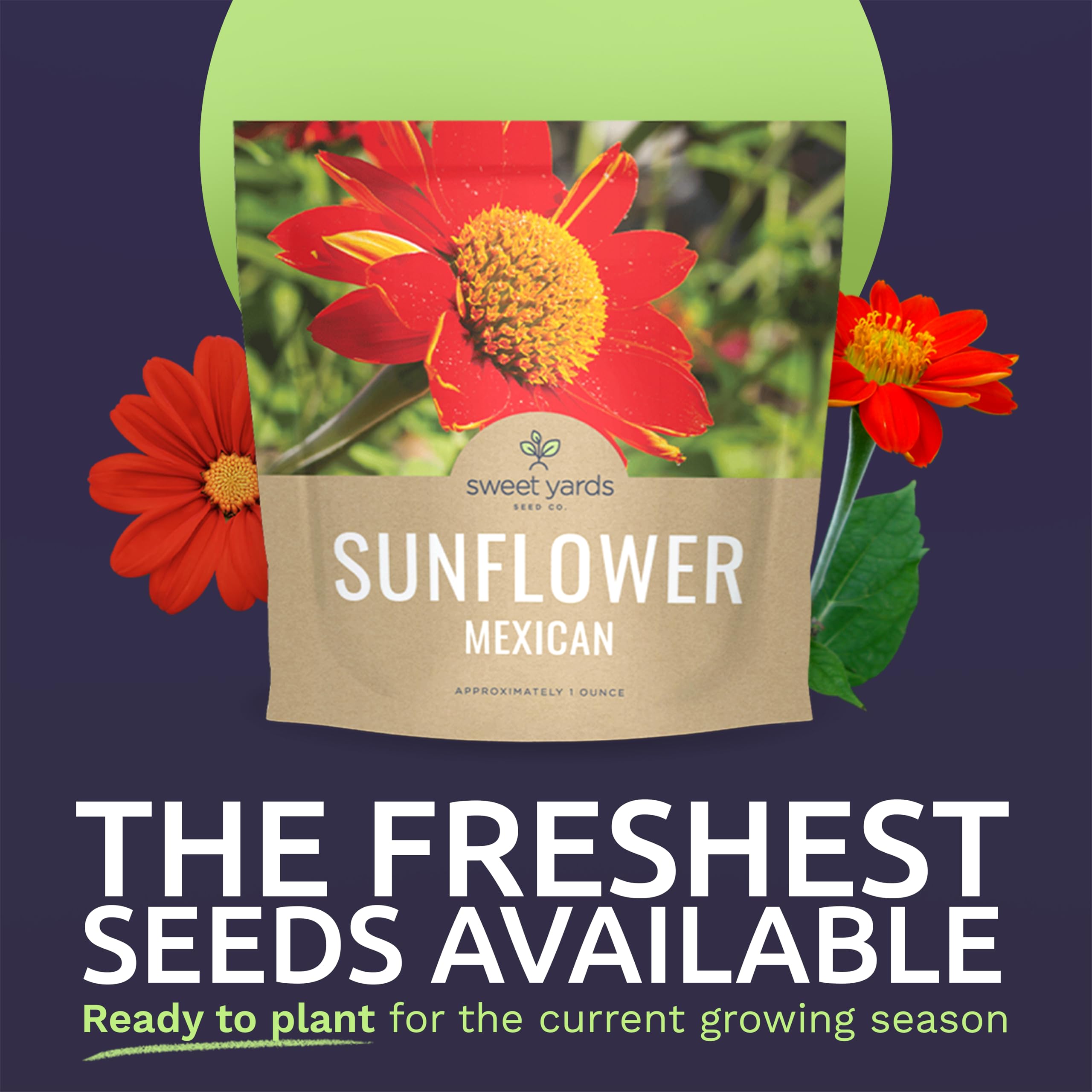 Sweet Yards open-pollinated seeds bag close-up for high germination potential