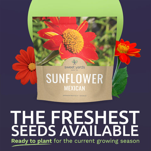 Sweet Yards open-pollinated seeds bag close-up for high germination potential