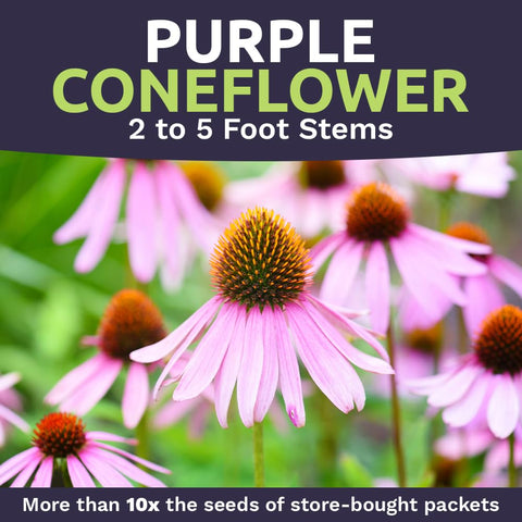 Sweet Yards Open-pollinated seeds preserve garden diversity and future planting options.