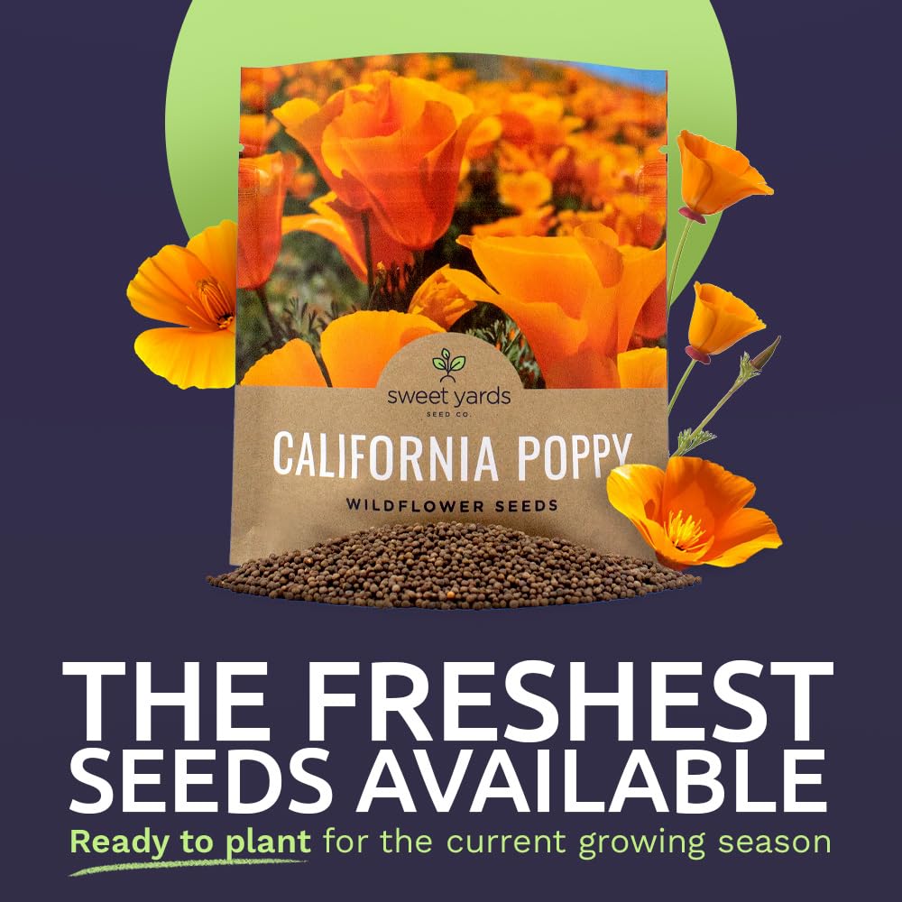 Close-up view of Sweet Yards orange poppy seeds with high germination potential.