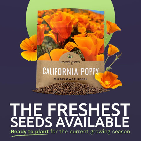 Close-up view of Sweet Yards orange poppy seeds with high germination potential.