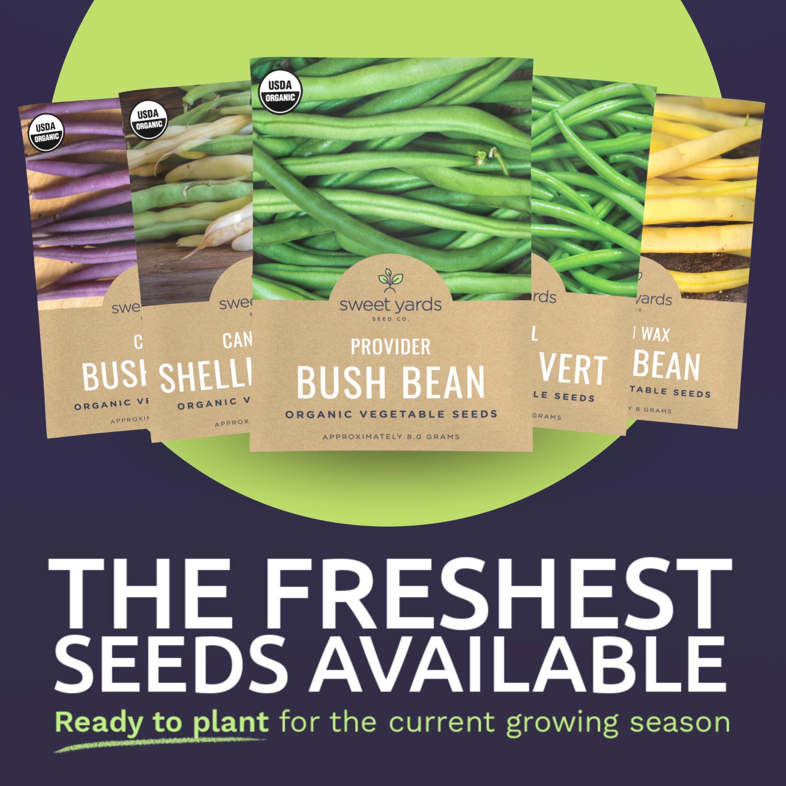 Sweet Yards Cannellini shelling bean seeds ideal for soups and homemade meals