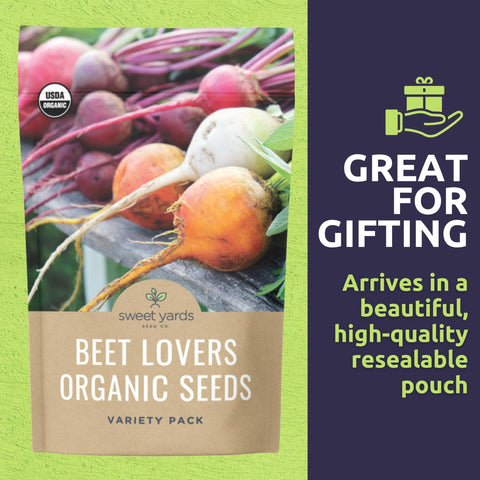 Sweet Yards Burpee's Golden Beet Seed Pack: bright golden roots for salads and roasting