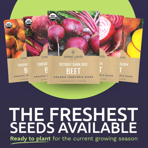 Sweet Yards Crosby Egyptian Beet Seed Pack: striped roots bring visual appeal to salads