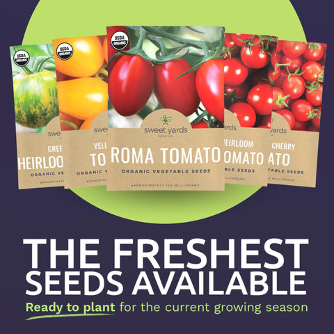 Sweet Yards Chadwick cherry tomato seeds for abundant small fruits.
