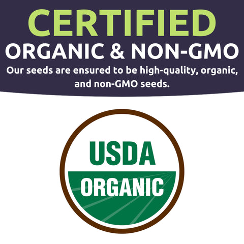 Sweet Yards Yellow Pear cherry tomato seeds for sweet bite-size tomatoes.