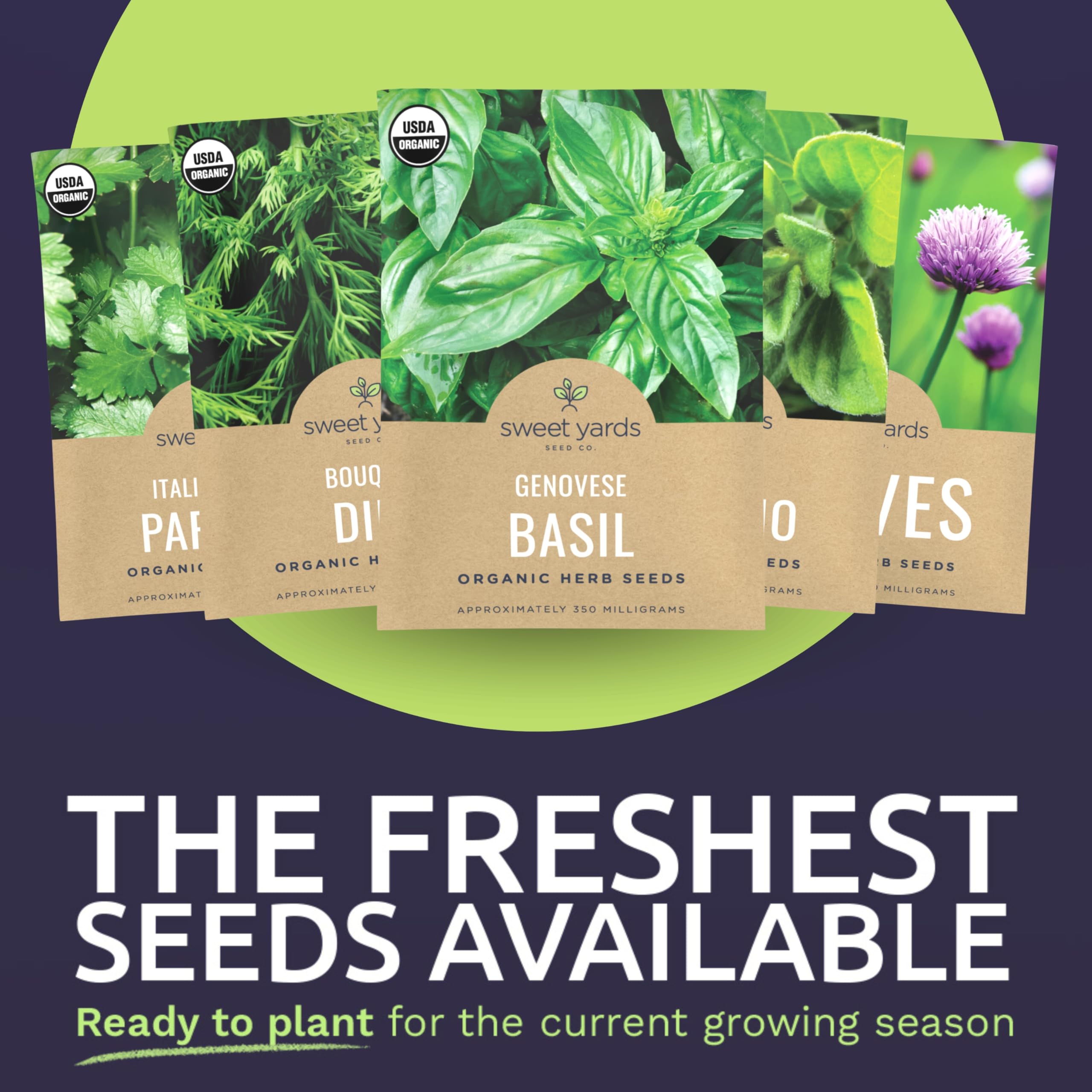 Sweet Yards Bouquet Dill seeds for bright aroma in pickles and salads.