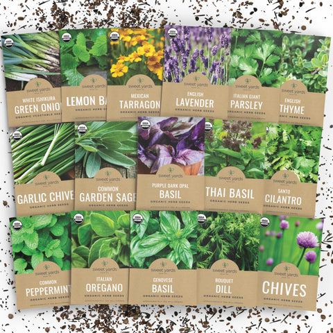 Sweet Yards organic herb seeds variety pack front view for easy home cooking.